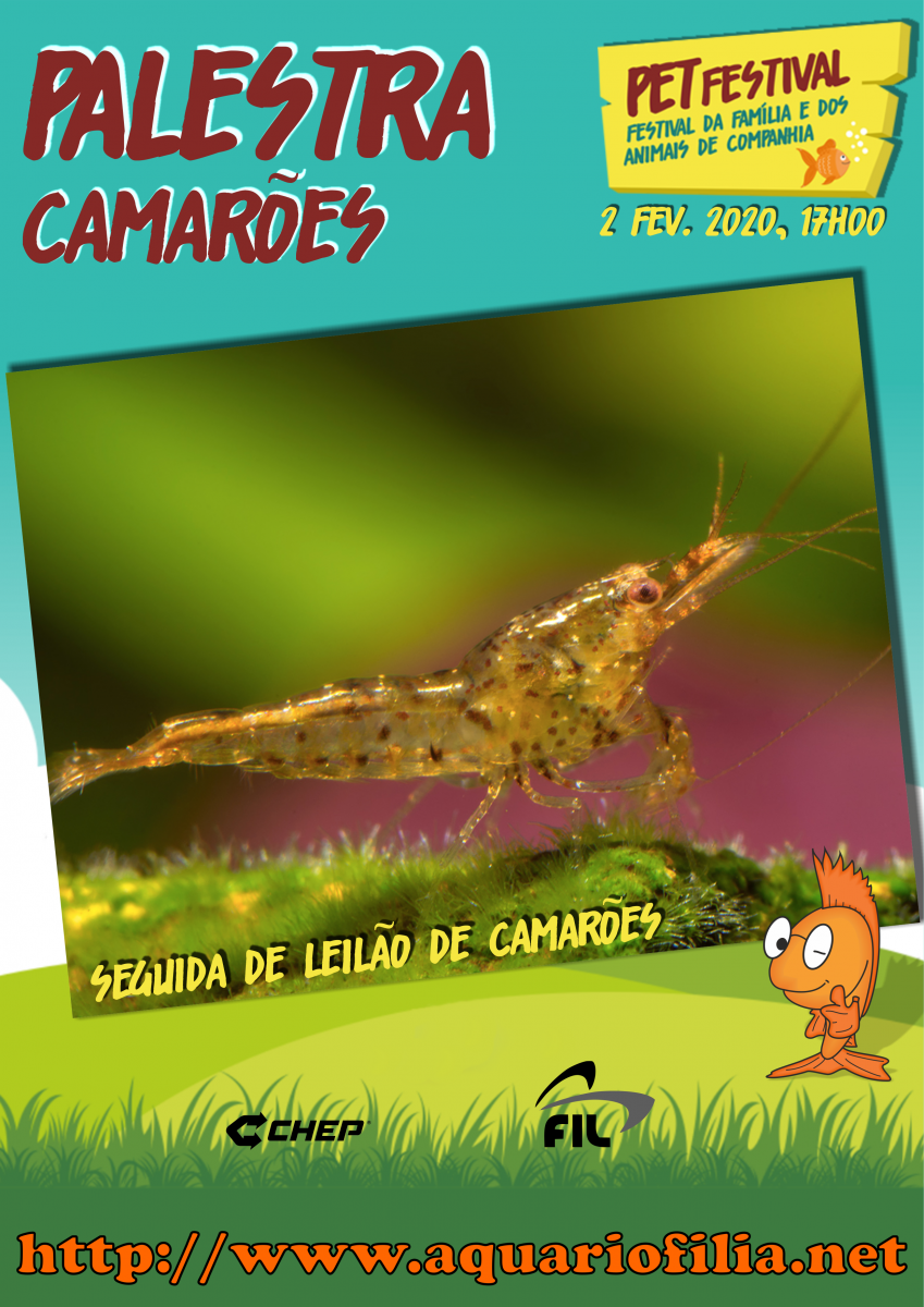 large.474286018_PetFestival2020_clean-Camares.png