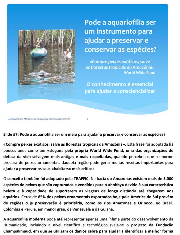 large.aquariofilia-hobby_conservacionismo-8.jpg