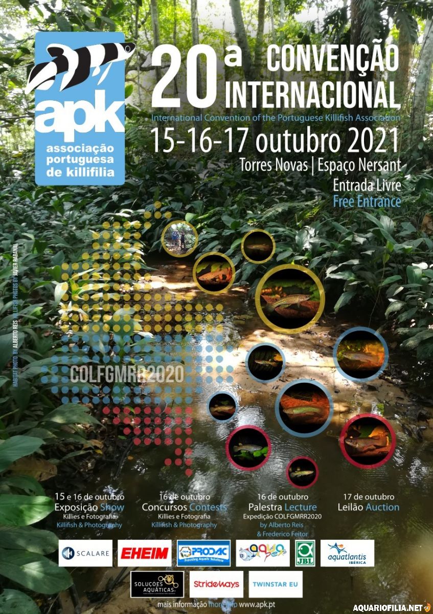 XX Convenção Internacional APK