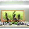 tanque aquascaping