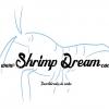 Shrimp Dream